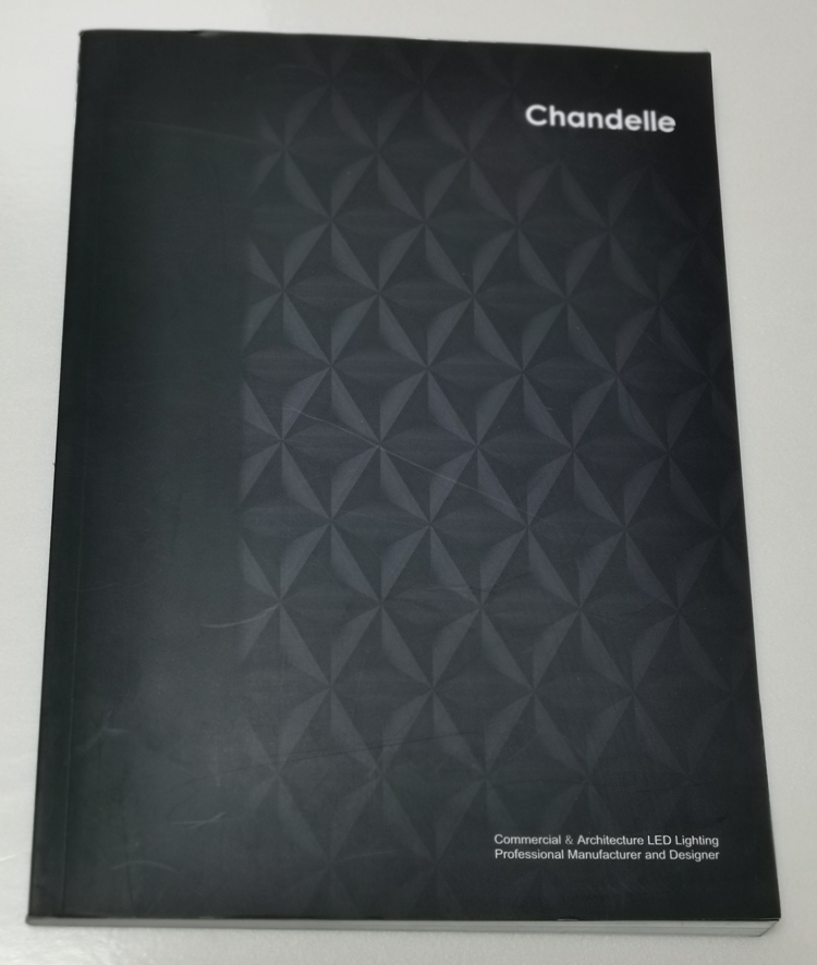 chandelle-企業(yè)英文宣傳冊(cè)